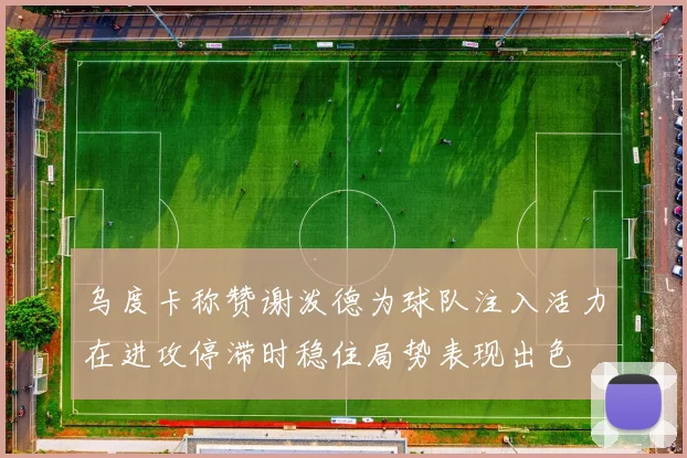 乌度卡称赞谢泼德为球队注入活力在进攻停滞时稳住局势表现出色